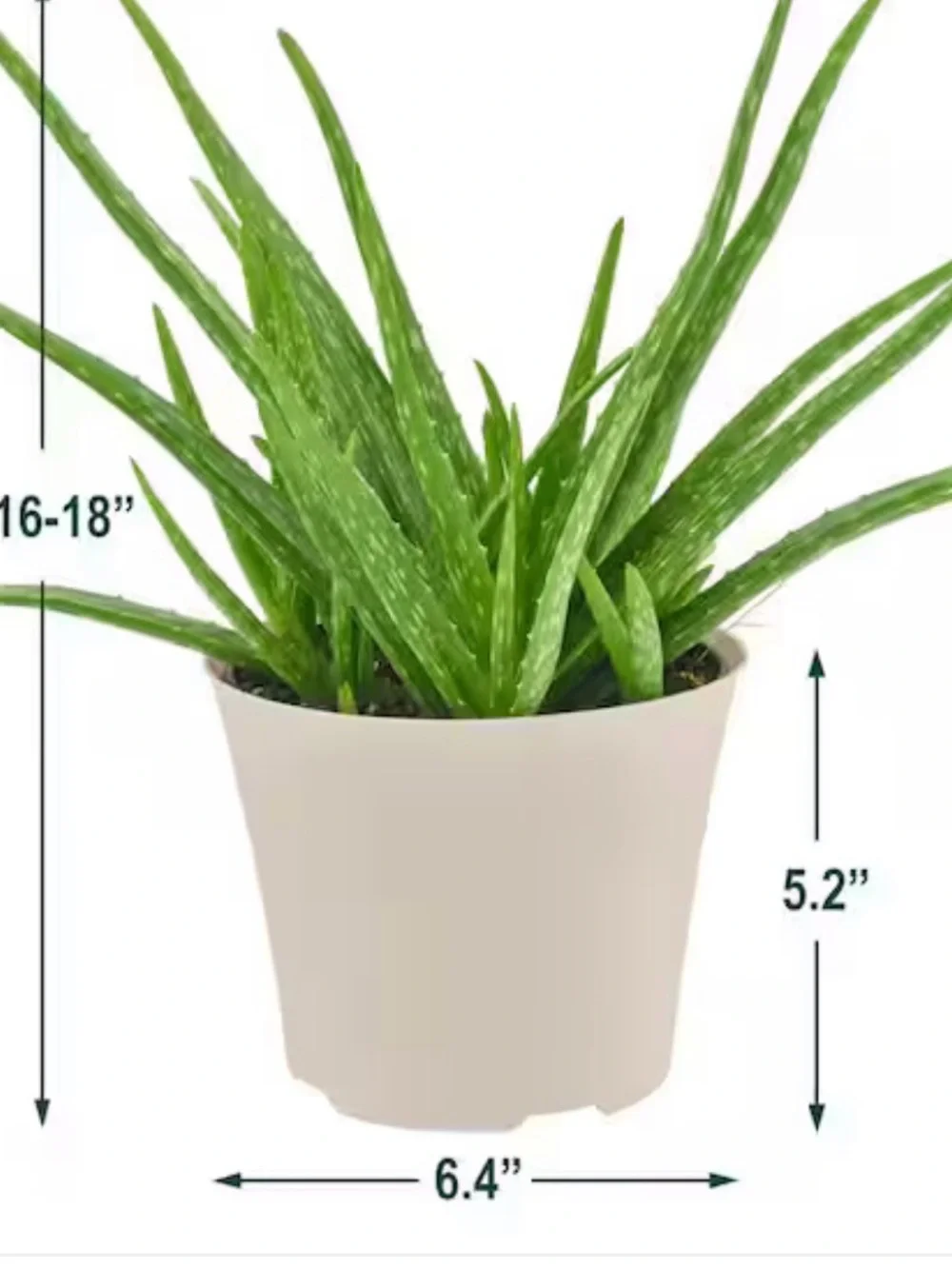 Deroma Recycled Plant Pot in Off-White